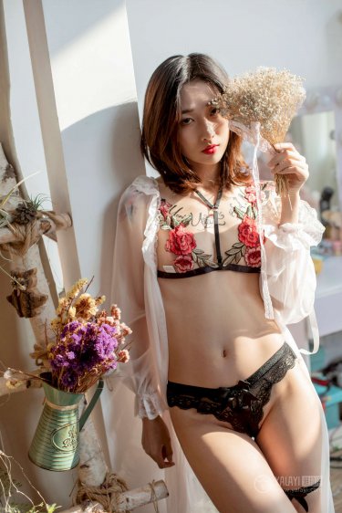 金钱龟
