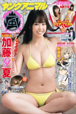 四驱兄弟2